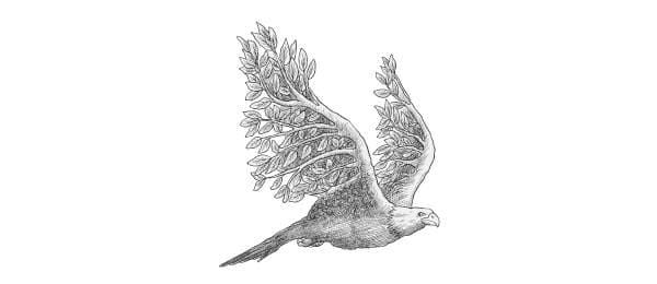 Eagle flying